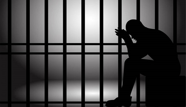 Revisão Criminal e Recorribilidade das Decisões: Procedimentos e Possibilidades